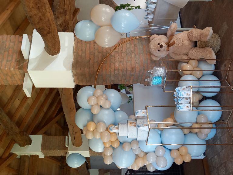 CORSO ONLINE PROFESSIONE PARTY PLANNER