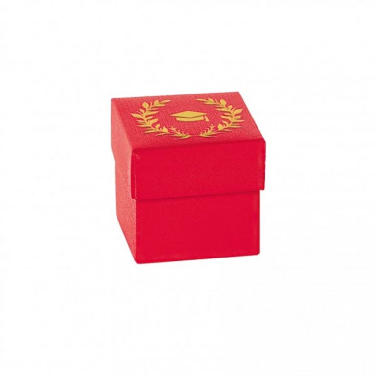 CUBO LAUREA 10 PEZZI