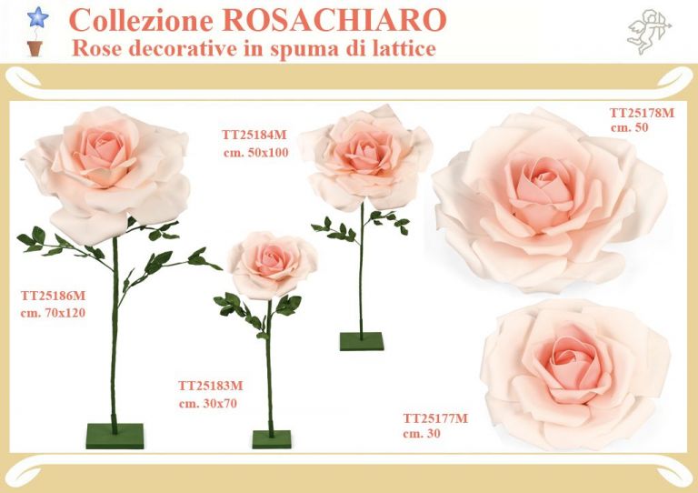 ROSACHIARA IN LATTICE